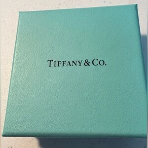 Tiffany & Co. Turquoise Gift Box